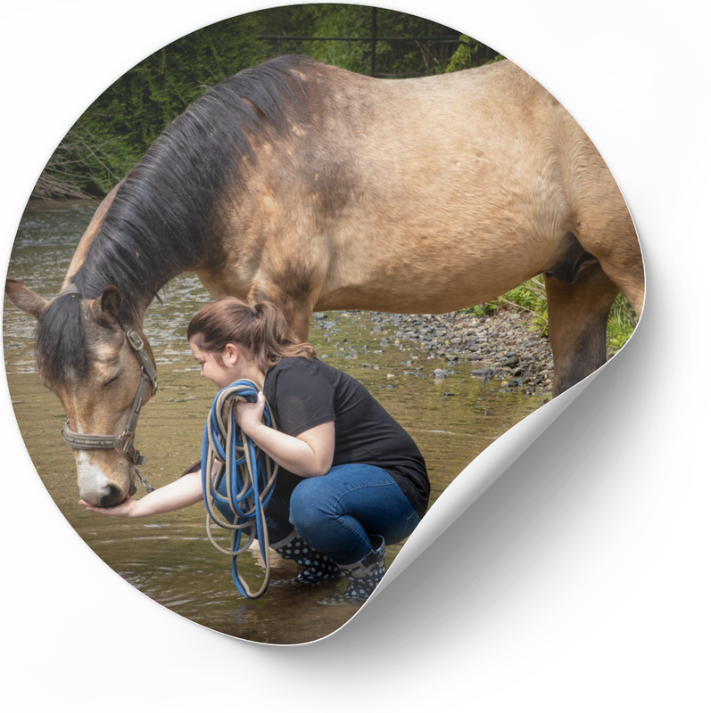 Horsemanship